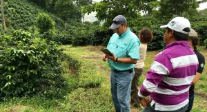 An inspector for Starbucks C.A.F.E. verification process using a table with Green River software to inspect a farm.