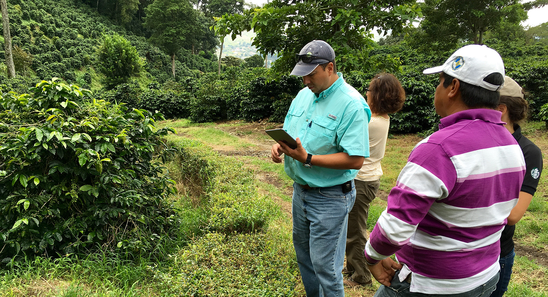 An inspector for Starbucks C.A.F.E. verification process using a table with Green River software to inspect a farm.