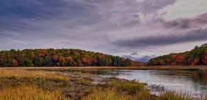 sherman lake, marsh, vermont-4019964.jpg